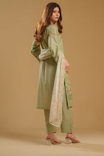 Mehak - Pistachio